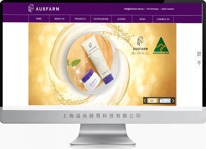 Ӣ�ľW(w��ng)վ��������